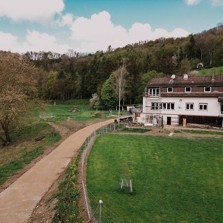 Grosszuegiges, Stylisches Apartment I 8 Personen I Eifel I Naturliebhaber I Metterich Exterior foto